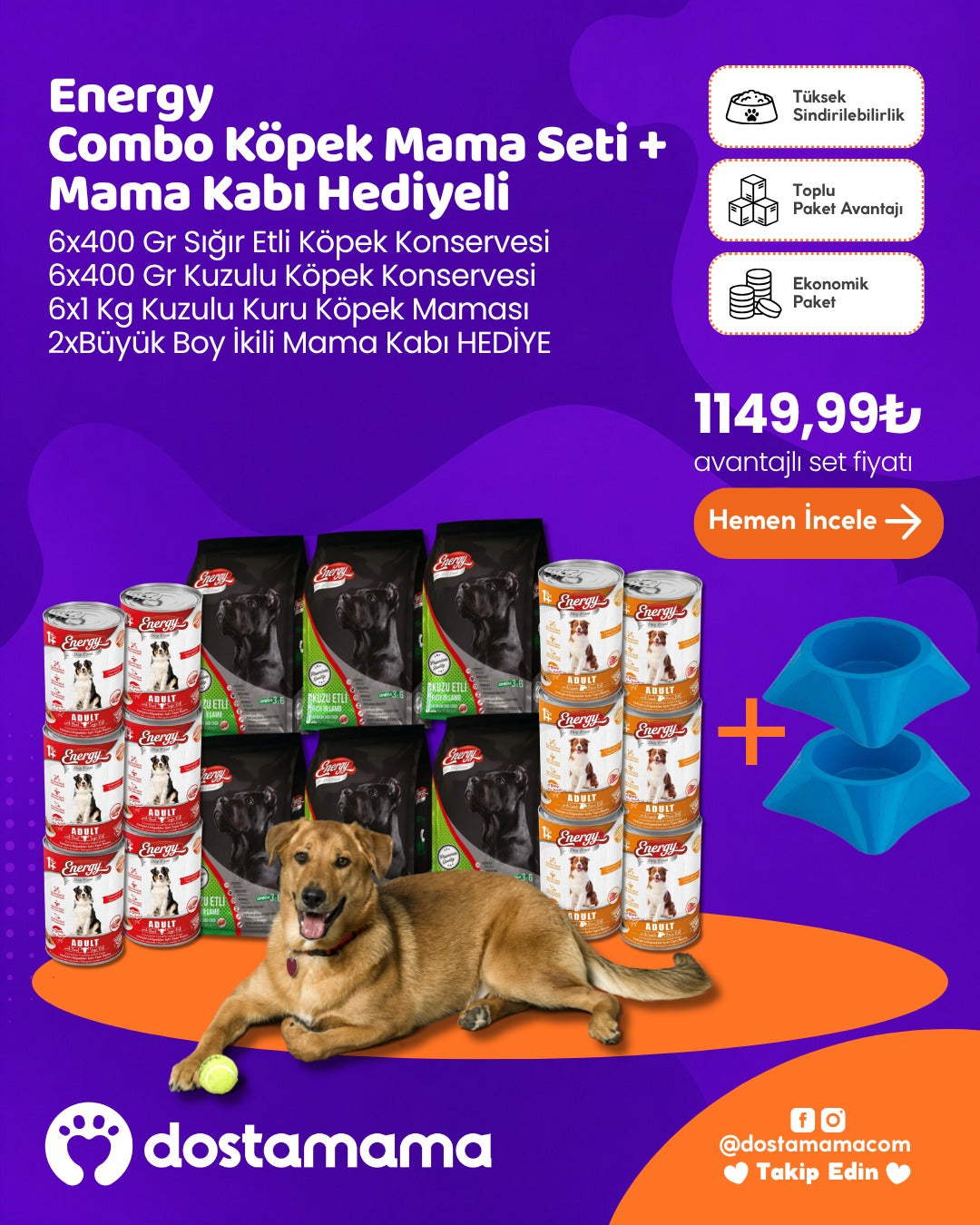 Energy Combo Köpek Mama Seti + Mama Kabı Hediyeli