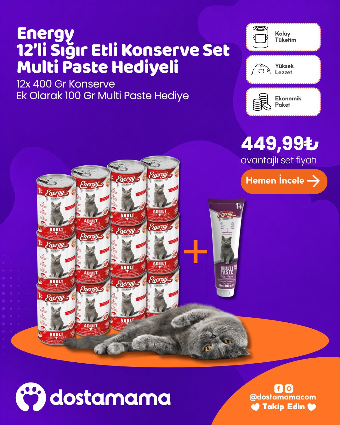 Energy 12’li Sığır Etli Konserve Set + Multi Paste Hediyeli