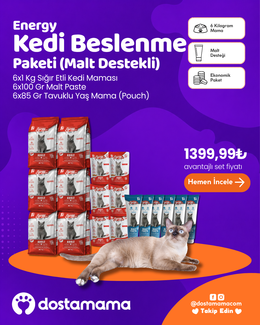 Energy Kedi Beslenme Paketi (Malt Destekli)