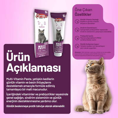 Energy Yetişkin Kedi Multi Paste - 100 g