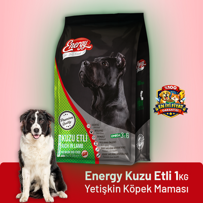 Energy Kuzu Etli Yetişkin Köpek Maması - 1 kg