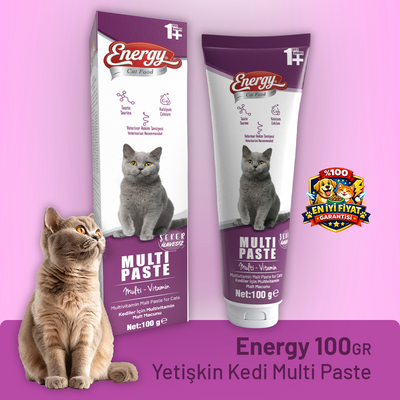 Energy Yetişkin Kedi Multi Paste - 100 g