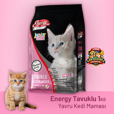 Energy Tavuklu Yavru Kedi Maması - 1 kg