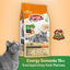 Energy Somonlu Kısırlaştırılmış Kedi Maması - 15 kg