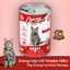 Energy Sığır Etli Yetişkin Yaş Kedi Maması - 400 g
