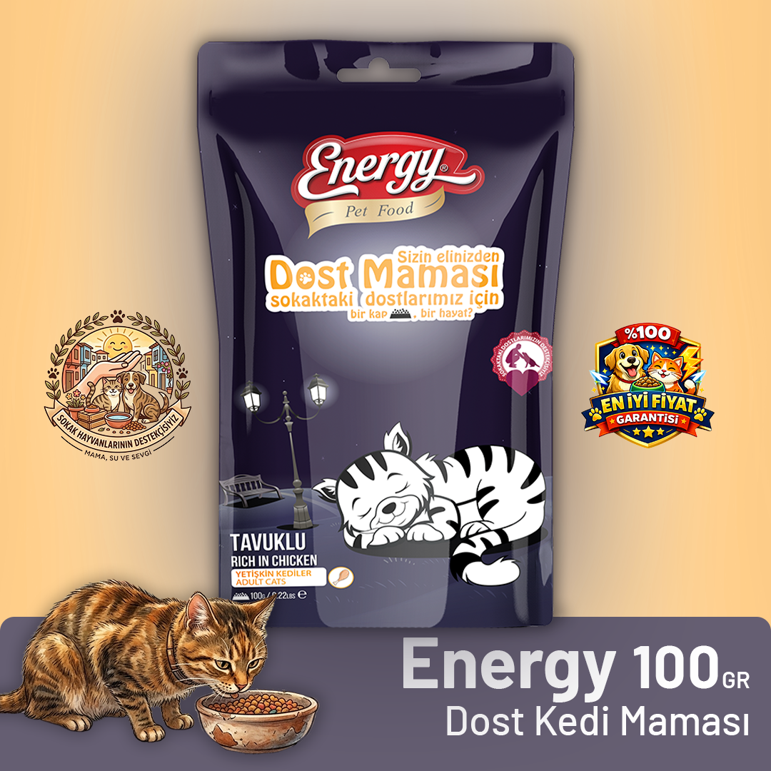 Pet Food Energy Dost Kedi Maması -  100 g