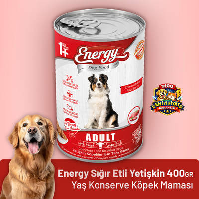Energy Sığır Etli Yetişkin Yaş Köpek Maması - 400 g