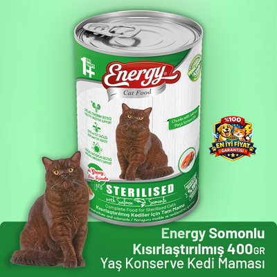 Energy Somonlu Kısırlaştırılmış Yaş Kedi Maması - 400 g