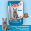 Energy Somonlu Yetişkin Yaş Kedi Maması - 85 g