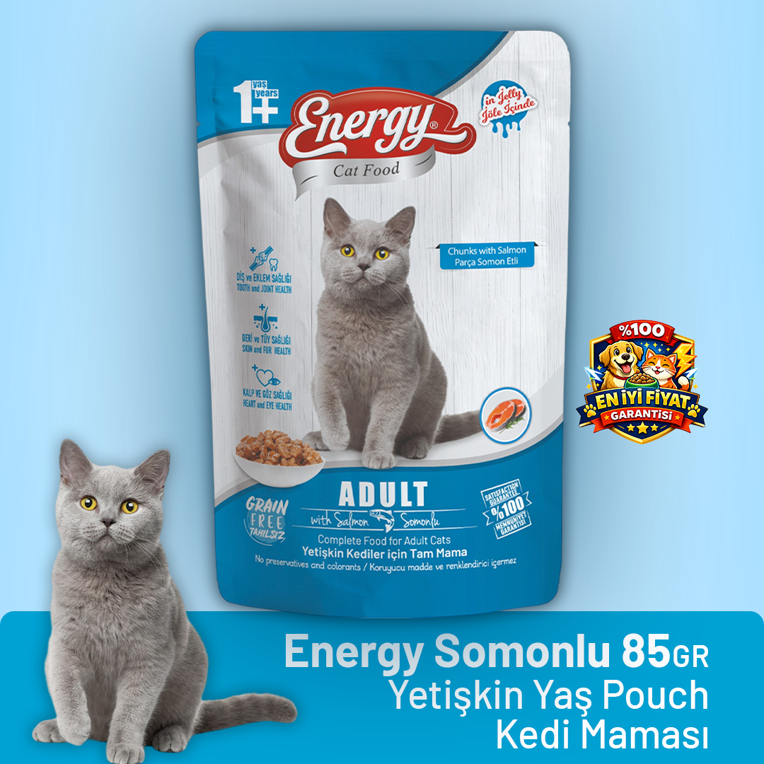 Energy Somonlu Yetişkin Yaş Kedi Maması - 85 g