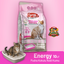 Super Premium Energy Kedi Kumu Pudra Kokulu 10 lt