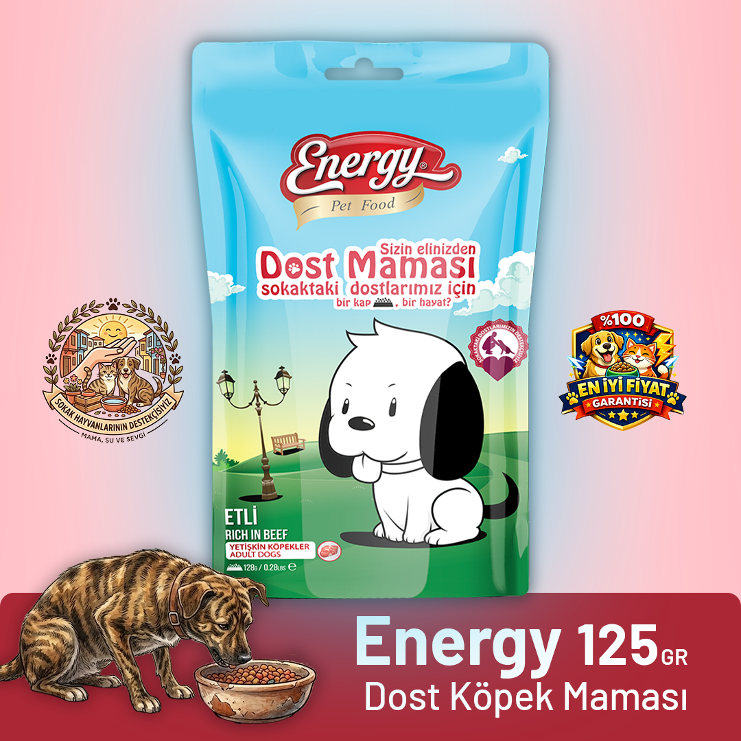 Pet Food Energy Dost Köpek Maması -  125 g