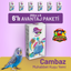 Cambaz Muhabbet Kuşu Yemİ 250 g - 6 Adet