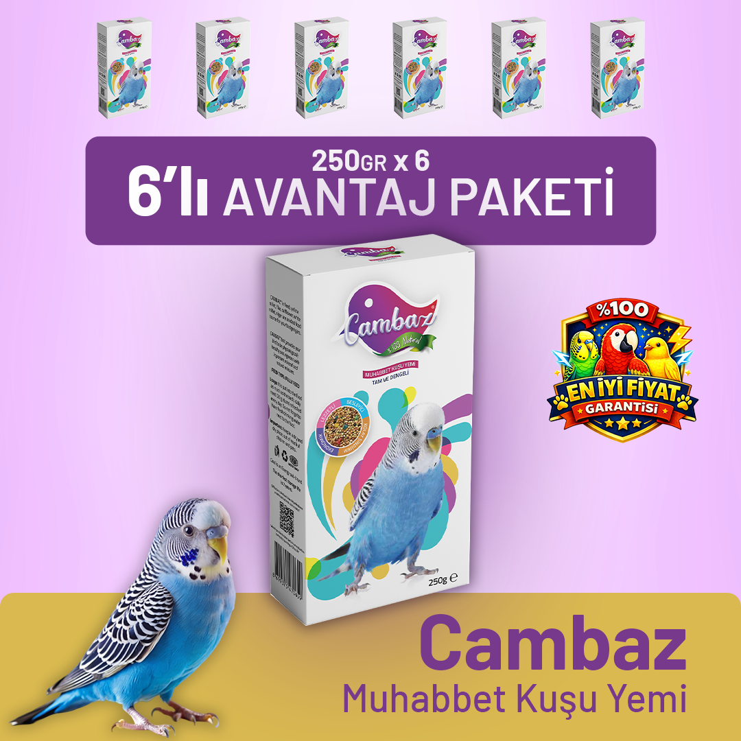 Cambaz Muhabbet Kuşu Yemİ 250 g - 6 Adet