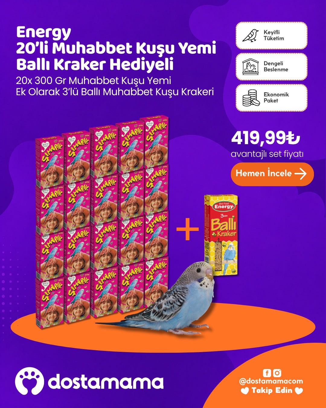 Energy 20’li Muhabbet Kuşu Yemi Seti + Ballı Kraker Hediyeli