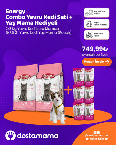 Energy Combo Yavru Kedi Seti + Yaş Mama Hediyeli