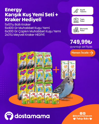 Energy Karışık Kuş Yemi Seti + Kraker Hediyeli