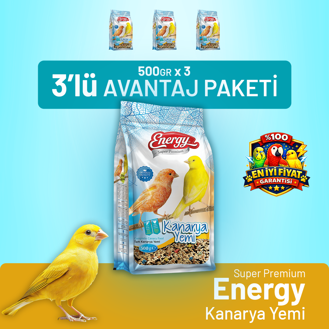 Kanarya Yemi 500 g - 3 Adet