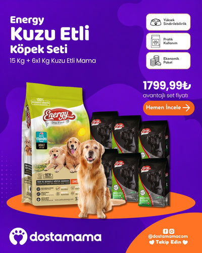 Energy Kuzu Etli Köpek Seti 15 Kg + 6x1 Kg