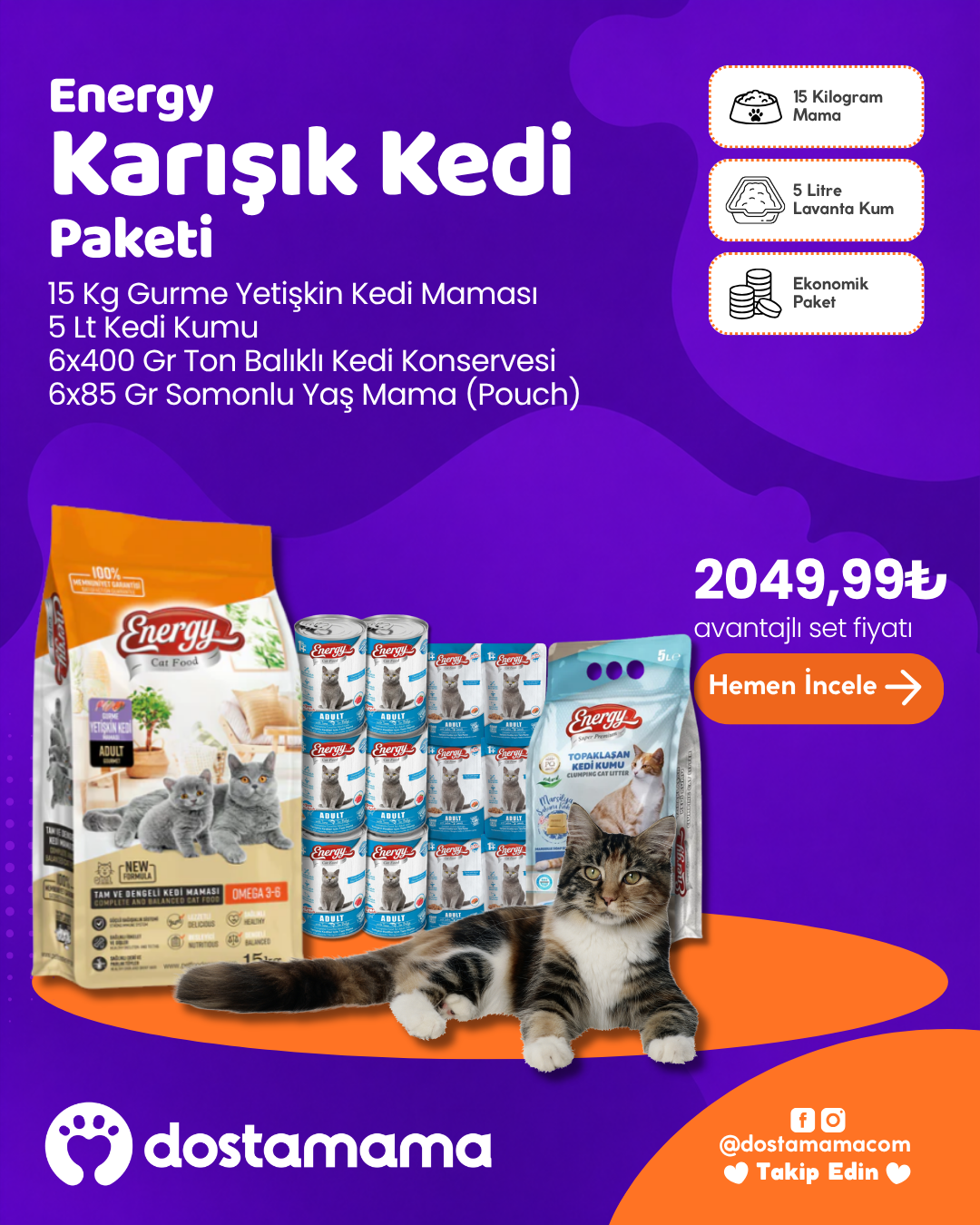 Energy Karışık Kedi Seti