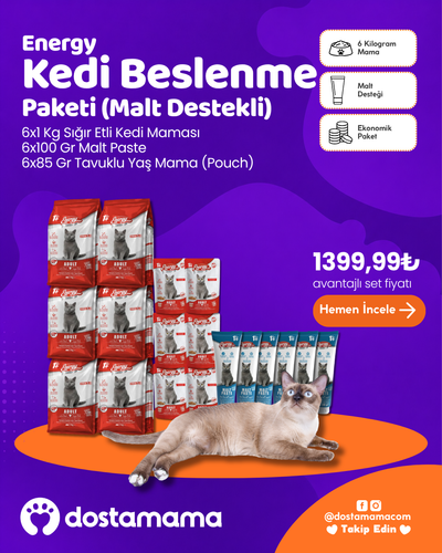 Energy Kedi Beslenme Paketi (Malt Destekli)