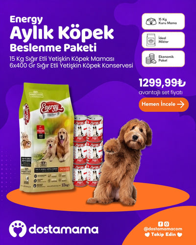 Energy Aylık Köpek Beslenme Paketi