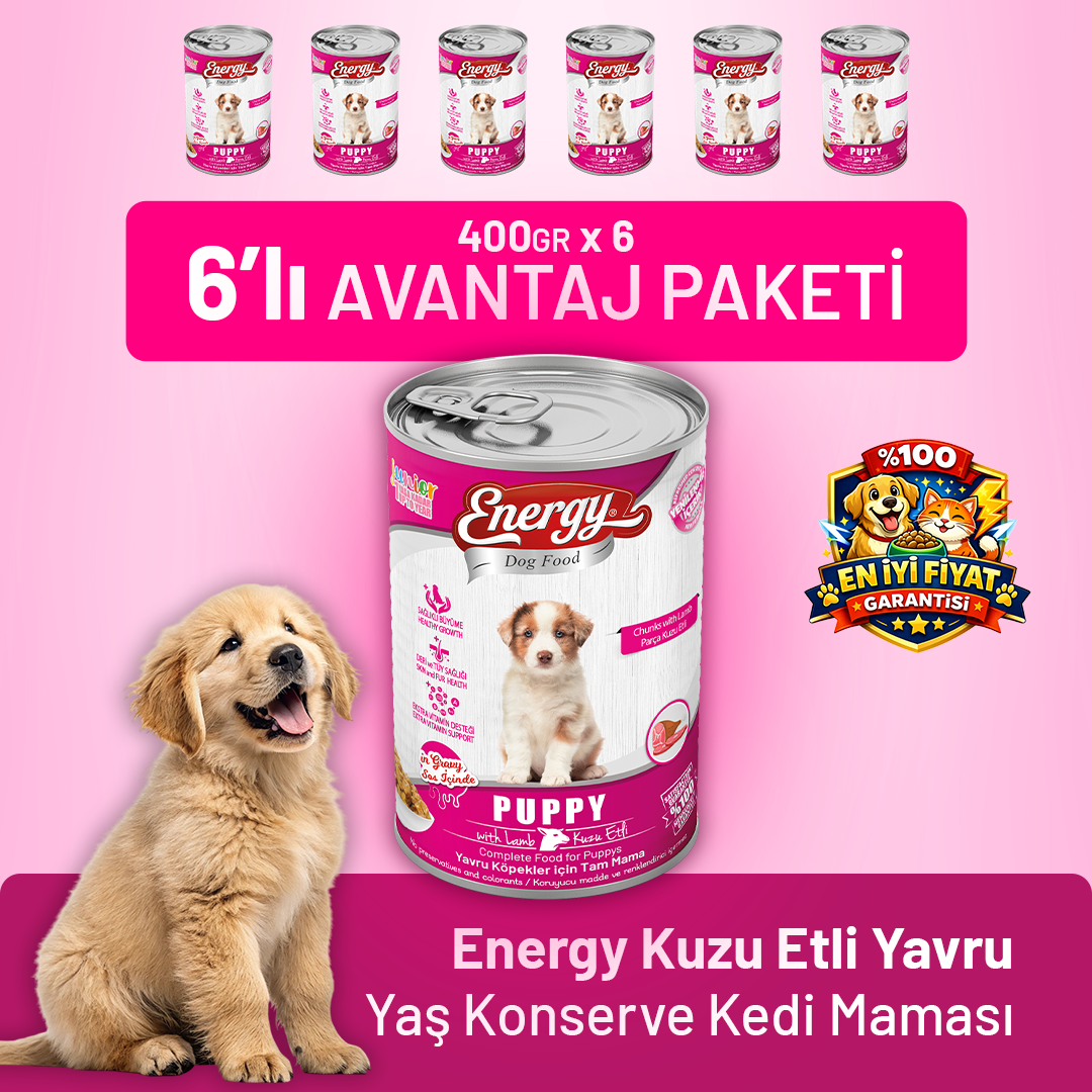 Kuzu Etli Yavru Yaş Köpek Maması 400 g - 6 Adet