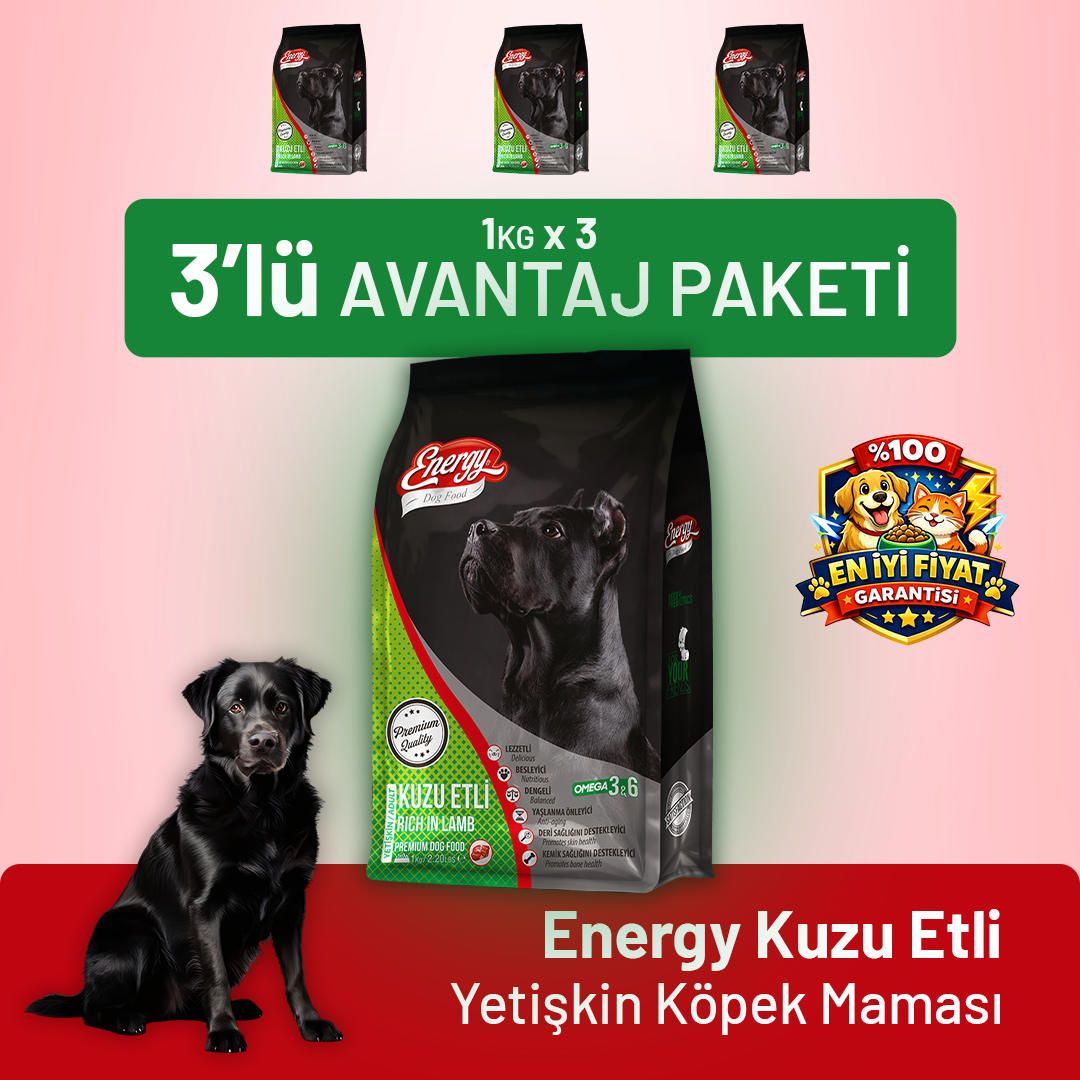 Kuzu Etli Yetişkin Köpek Maması - 3 Adet