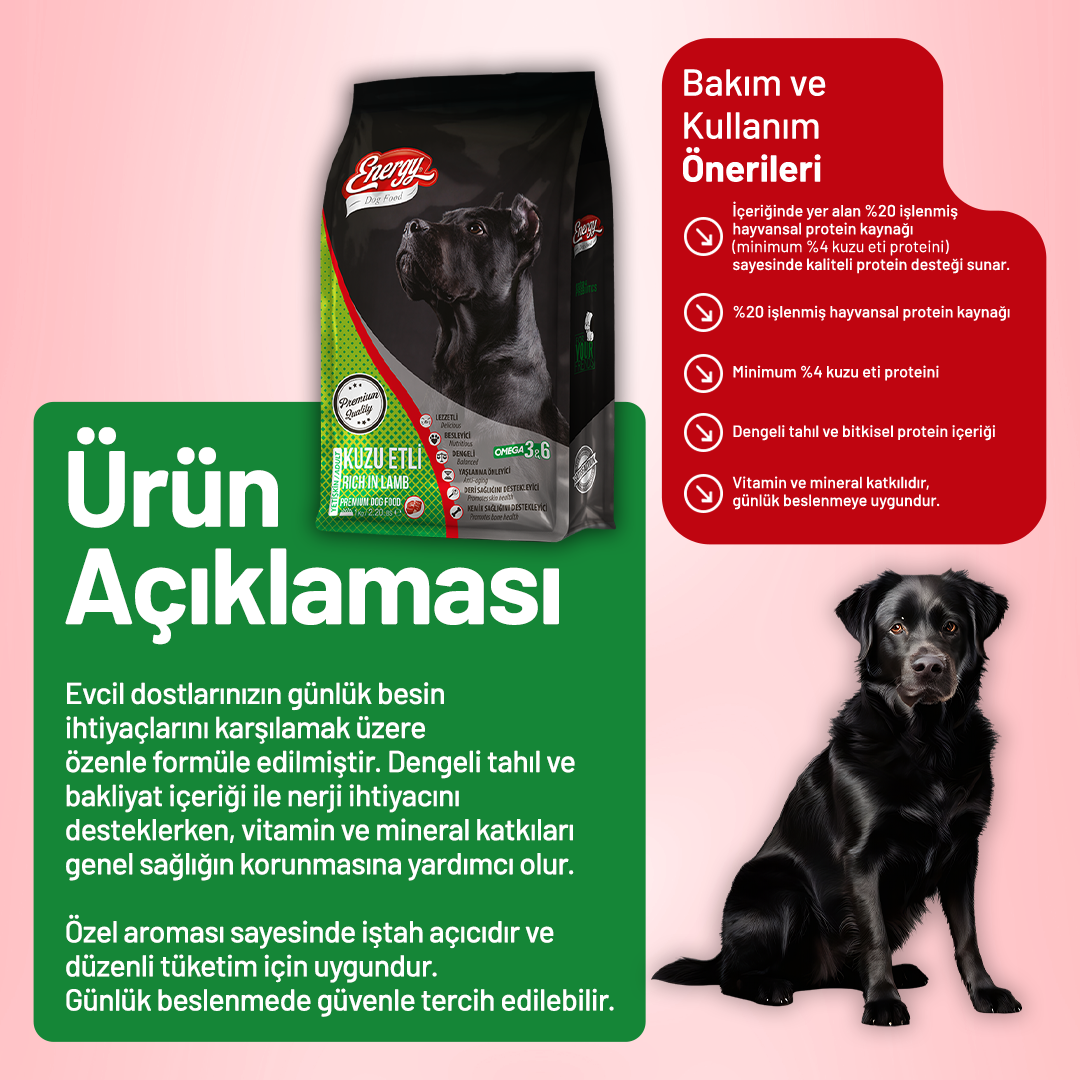 Kuzu Etli Yetişkin Köpek Maması - 3 Adet