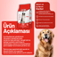 Kuzu Etli Yetişkin Köpek Maması 3 kg - 2 Adet