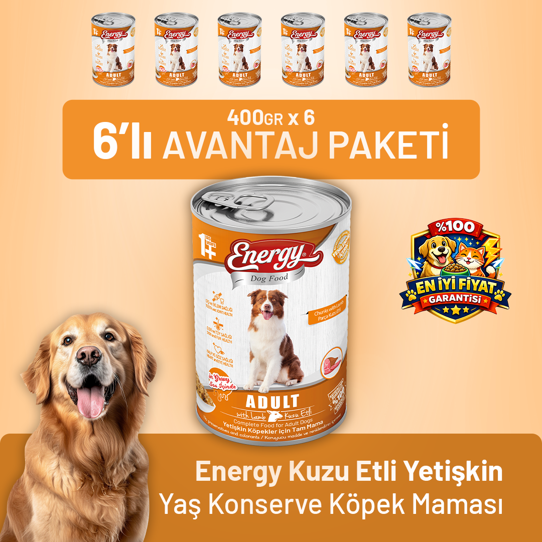 Kuzu Etli Yetişkin Yaş Köpek Maması 400 g - 6 Adet