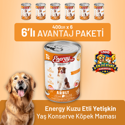 Kuzu Etli Yetişkin Yaş Köpek Maması 400 g - 6 Adet
