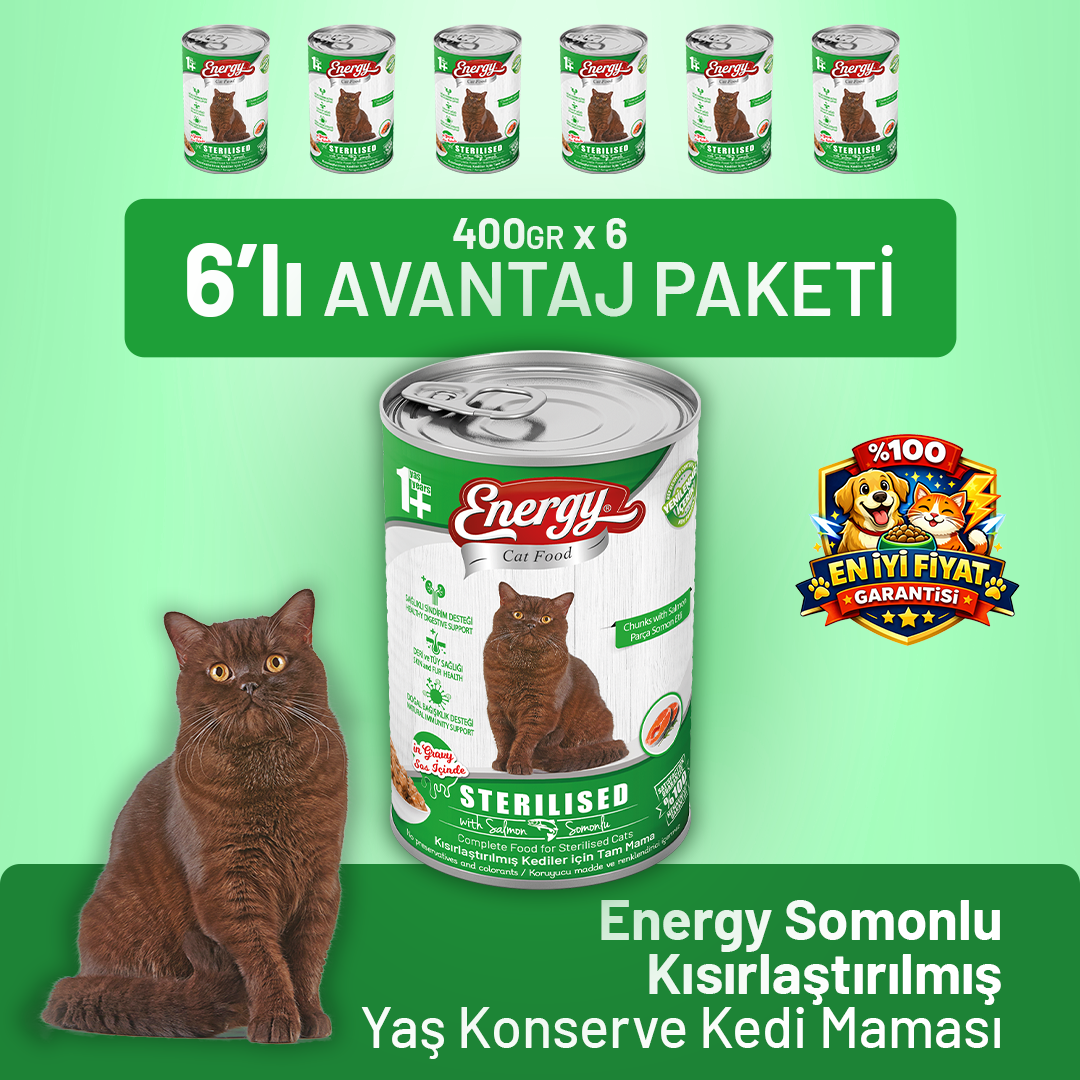 Somonlu Kısırlaştırılmış Yaş Kedi Maması 400 g - 6 Adet
