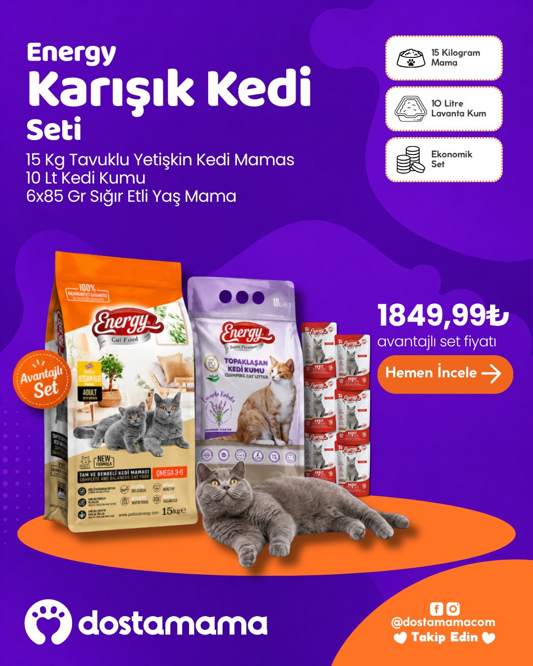 Energy Karışık Kedi Seti