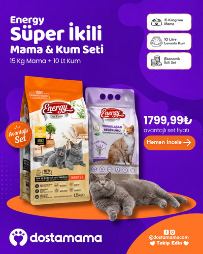 Energy Süper İkili Mama & Kum Seti