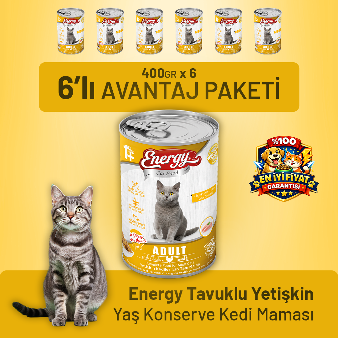 Tavuklu Yetişkin Yaş Kedi Maması 400 g - 6 Adet