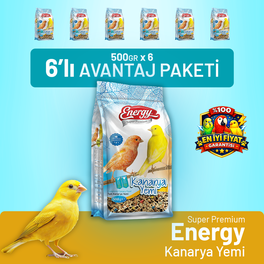 Kanarya Yemi 500 g - 6 Adet