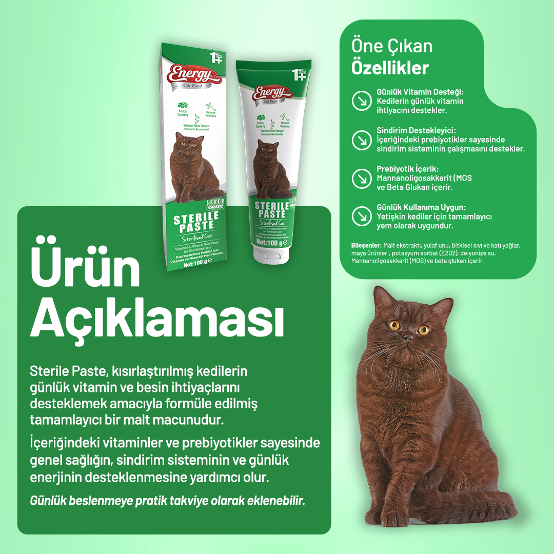 Energy Kısırlaştırılmış Kedi Paste - 100 g