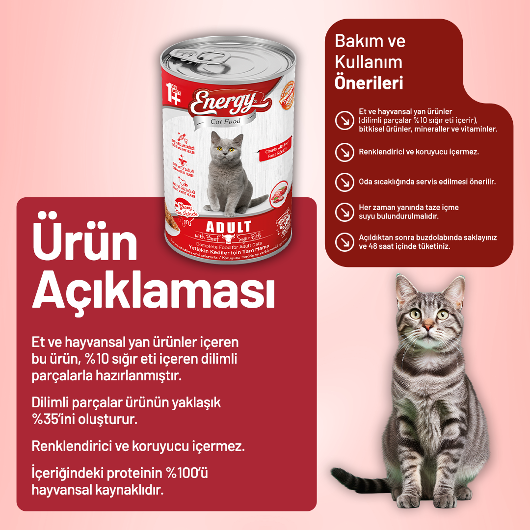 Energy Sığır Etli Yetişkin Yaş Kedi Maması - 400 g