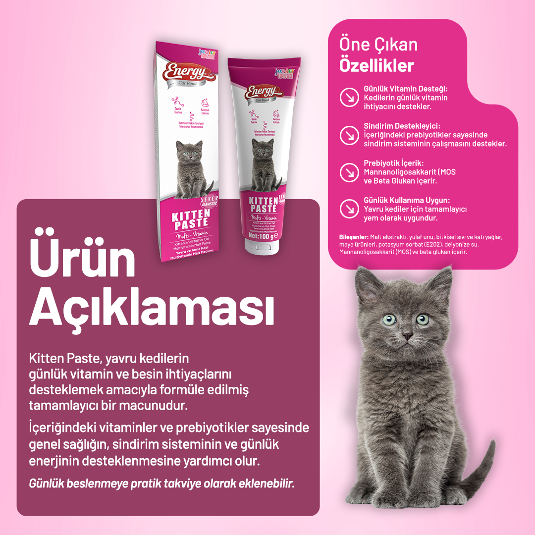 Energy Yavru Kedi Paste - 100 g