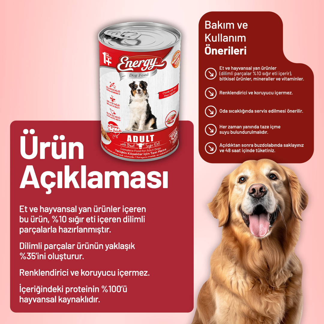 Energy Sığır Etli Yetişkin Yaş Köpek Maması - 400 g