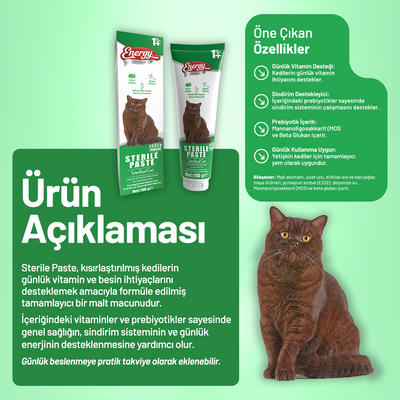 Energy Kısırlaştırılmış Kedi Paste - 100 g