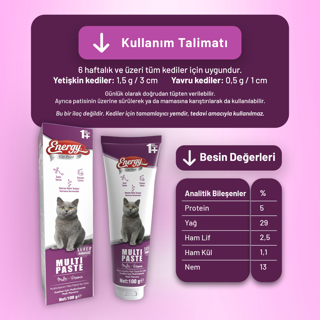 Energy Yetişkin Kedi Multi Paste - 100 g