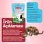 Pet Food Energy Dost Köpek Maması -  125 g