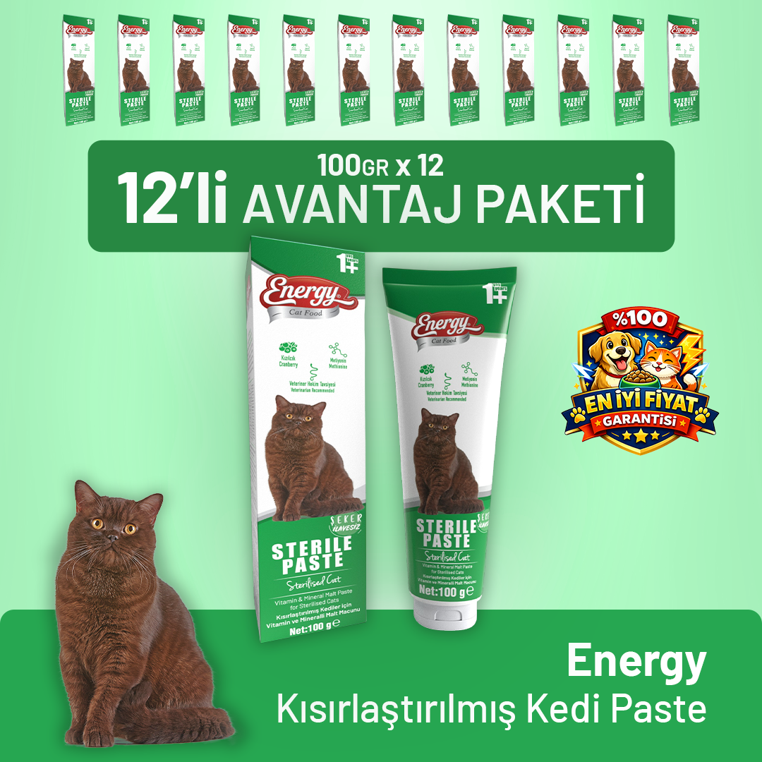 Kısırlaştırılmış Kedi Paste 100 g - 24 Adet