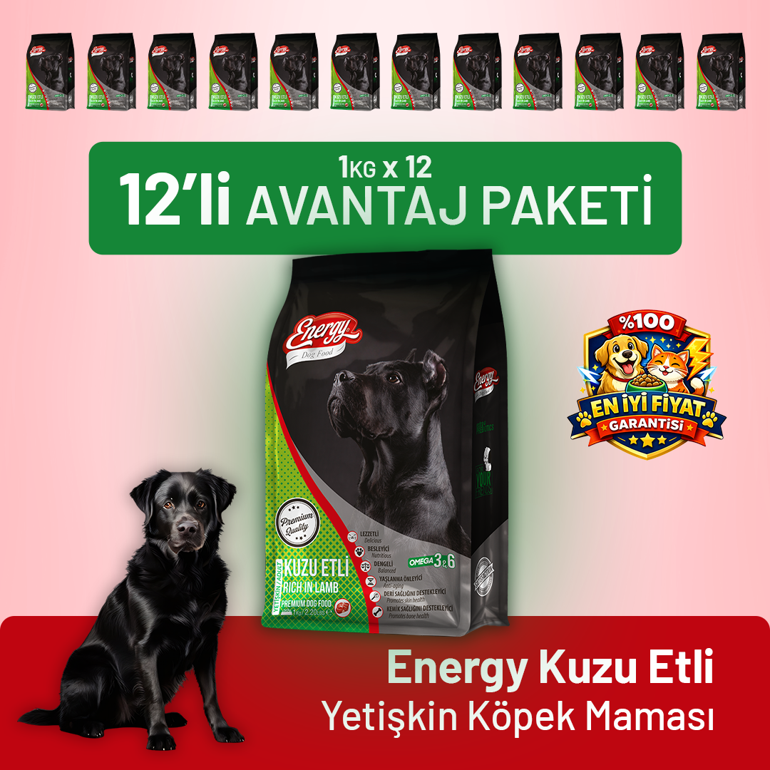 Kuzu Etli Yetişkin Köpek Maması - 12 Adet