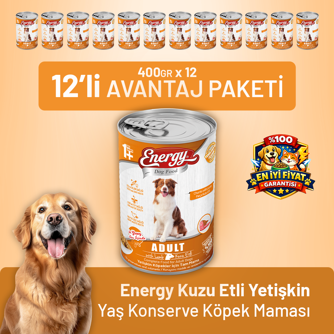 Kuzu Etli Yetişkin Yaş Köpek Maması 400 g - 12 Adet