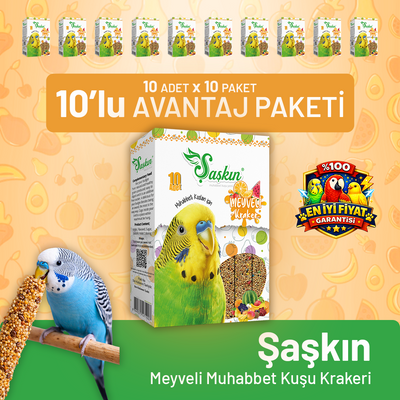 Meyveli Muhabbet Kuşu Krakeri 10'lu - 10 Adet