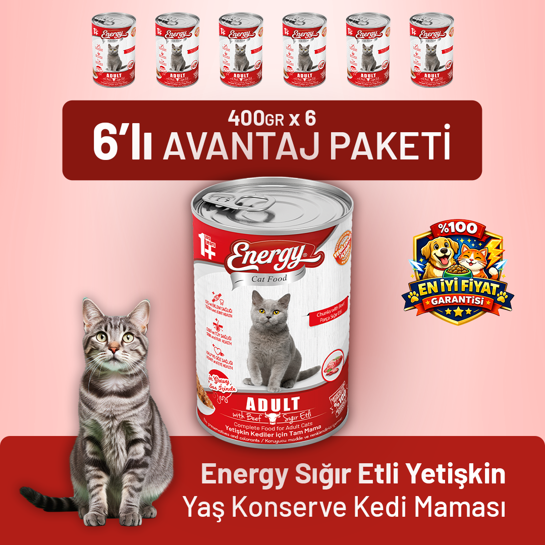 Sığır Etli Yetişkin Yaş Kedi Maması 400 g - 6 Adet