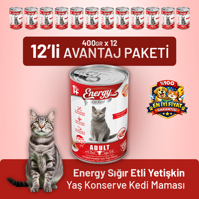 Sığır Etli Yetişkin Yaş Kedi Maması 400 g - 12 Adet